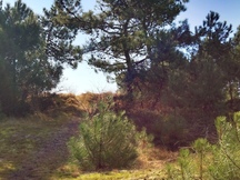 Wandelen vanuit de Ankerplaats