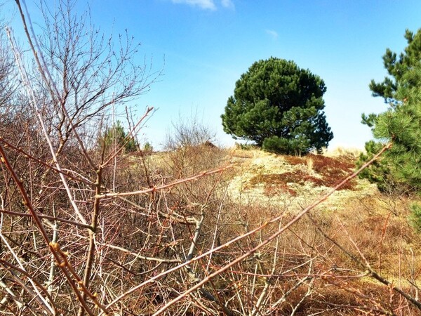 Wandelen vanuit de Ankerplaats